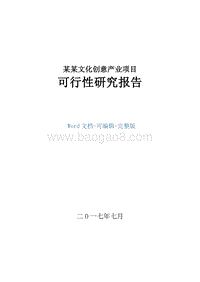 某某文化创意产业项目可行性研究报告.doc