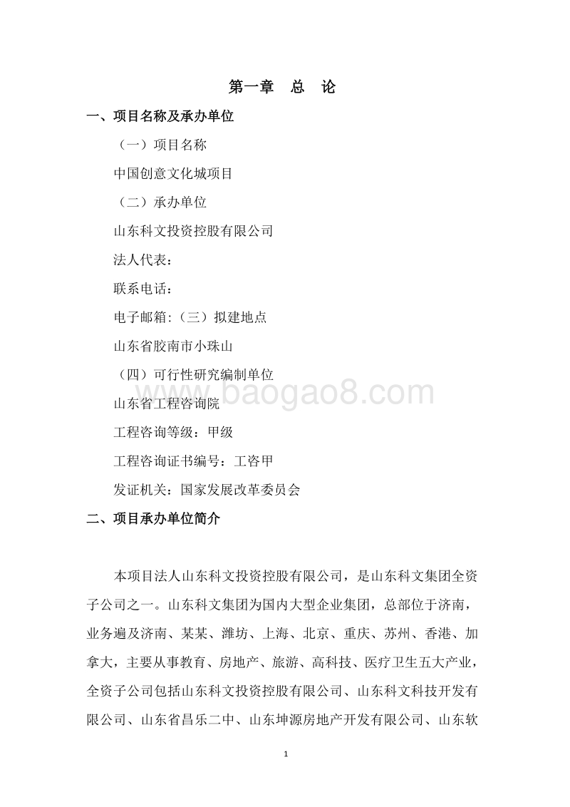 某某文化创意产业项目可行性研究报告.doc_第4页