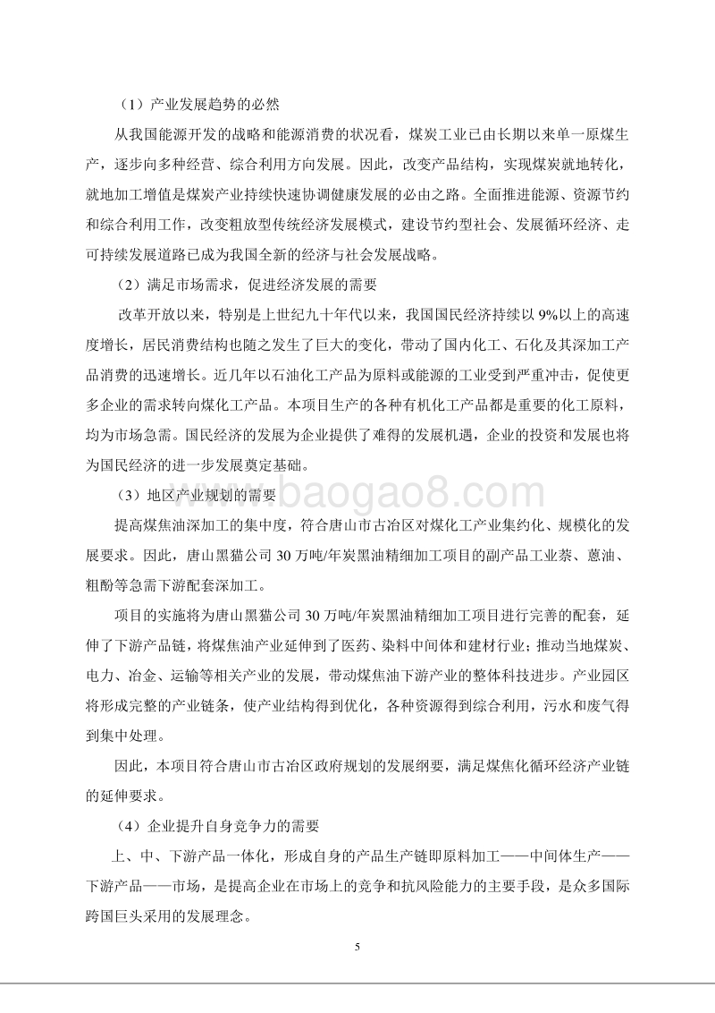 重点产业振兴和技术改造专项资金申请报告.doc_第5页