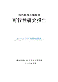特色风情小镇项目可行性研究报告.doc