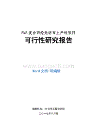 SMS复合丙纶无纺布生产线项目可行性研究报告.doc