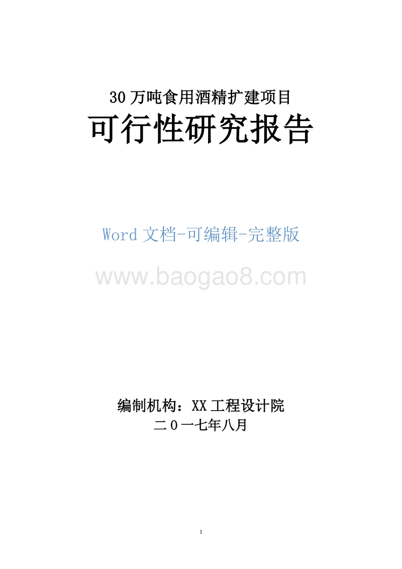 30万吨食用酒精扩建项目可行性研究报告.doc_第1页