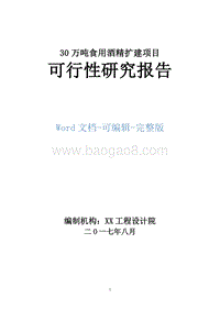 30万吨食用酒精扩建项目可行性研究报告.doc