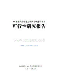 XX地区农业特色互联网小镇建设项目可行性研究报告.doc