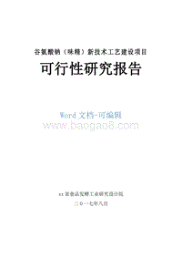 谷氨酸钠（味精）新技术工艺建设项目商业计划书.doc