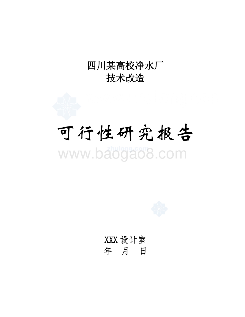 某地区净水厂技术改造可行性研究报告.doc_第1页