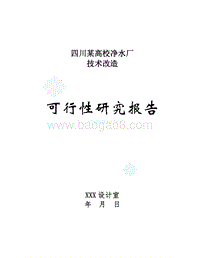某地区净水厂技术改造可行性研究报告.doc