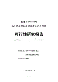 SMS项目可行性研究报告.doc