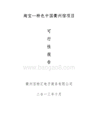 淘宝--特色中国衢州馆项目可行性研究报告.docx