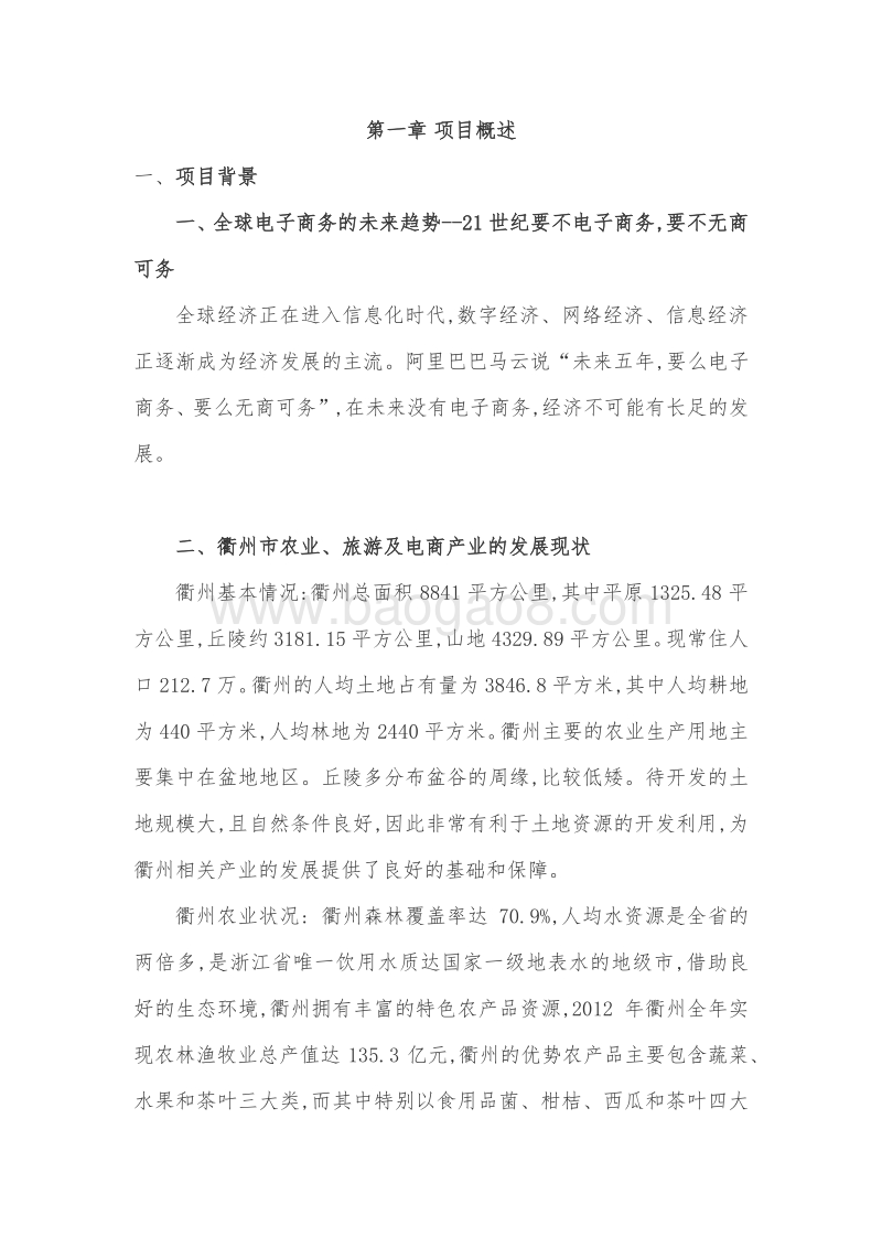 淘宝--特色中国衢州馆项目可行性研究报告.docx_第4页