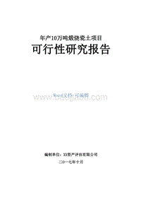 年产10万吨煅烧瓷土项目可行性研究报告.doc