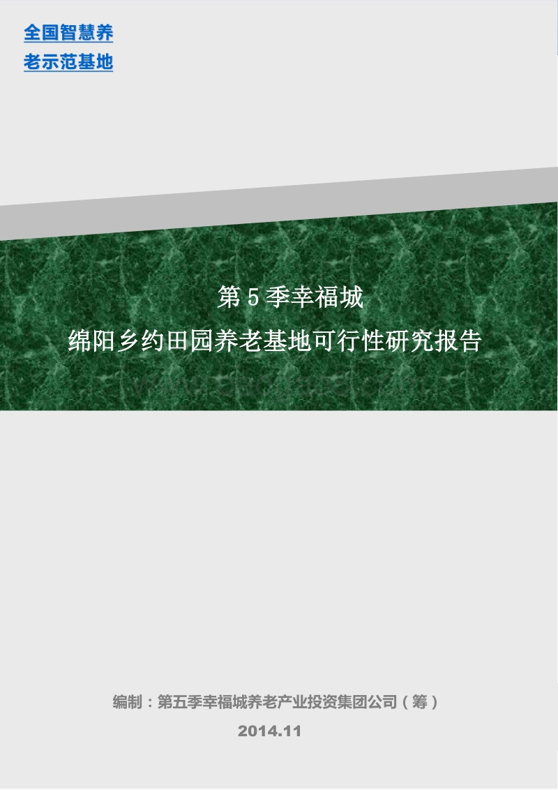 绵阳乡约田园养老基地可行性研究报告.doc_第1页