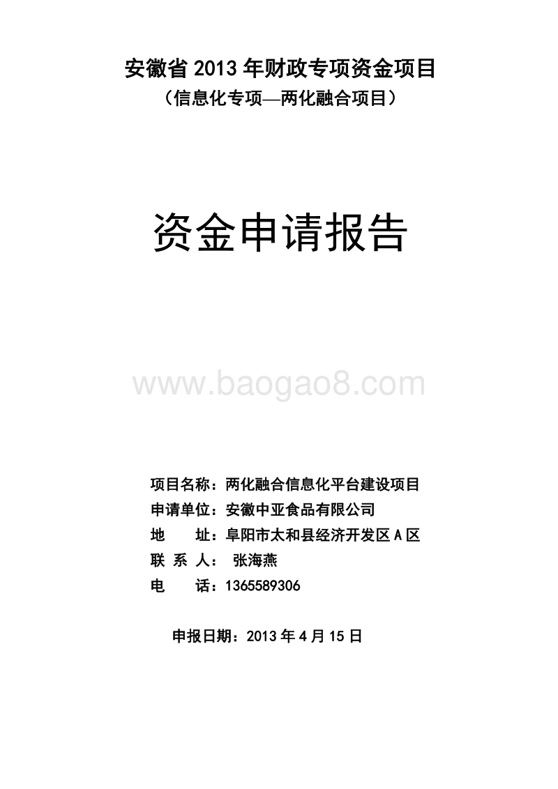 信息化专项—两化融合项目资金申请报告.doc_第1页