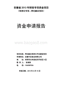 信息化专项—两化融合项目资金申请报告.doc