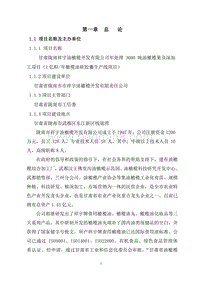 1亿粒油丸可行性研究报告.doc