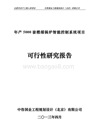 燃煤锅炉智能控制系统项目可行性研究报告.doc