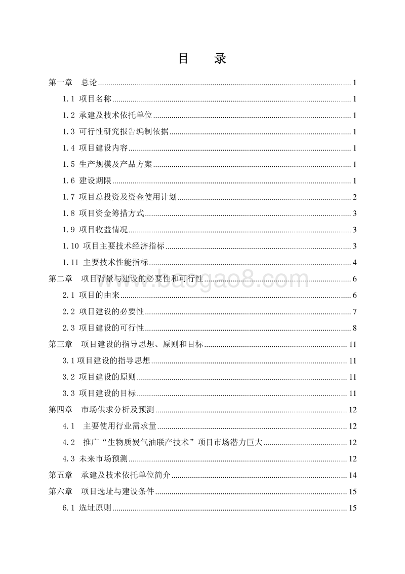 生物质炭气油联产全自动生产项目可行性研究报告.doc_第3页