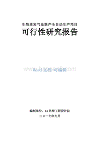 生物质炭气油联产全自动生产项目可行性研究报告.doc