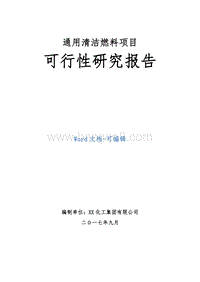 通用清洁燃料项目可行性研究报告.doc