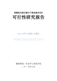硫酸钡及硫化碱生产基地建设项目可行性研究报告.doc