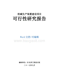 粒碱生产装置建设项目可行性研究报告.doc