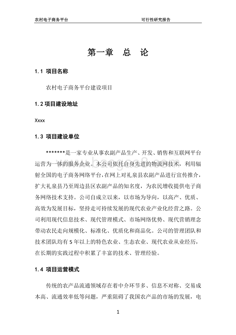农村电子商务平台建设项目可行性研究报告.doc_第4页
