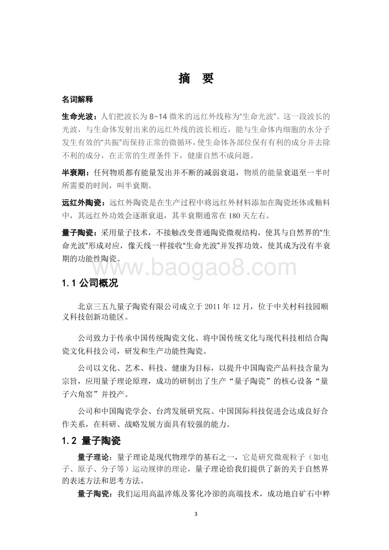 量子陶瓷产品项目可行性研究报告.doc_第3页