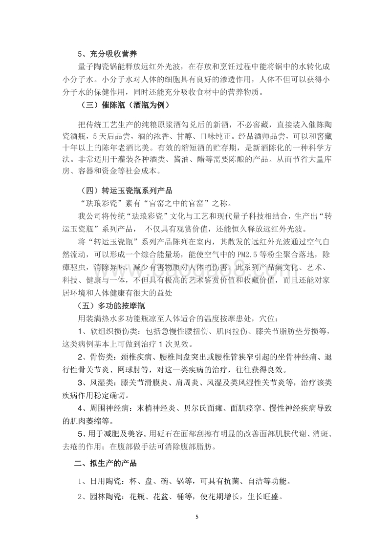 量子陶瓷产品项目可行性研究报告.doc_第5页