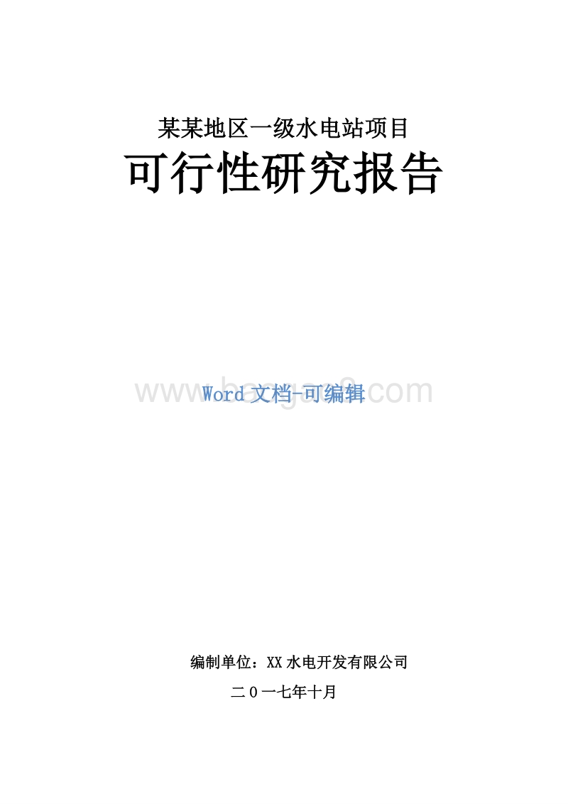 某某地区一级水电站项目可行性研究报告（可编辑）.doc_第1页
