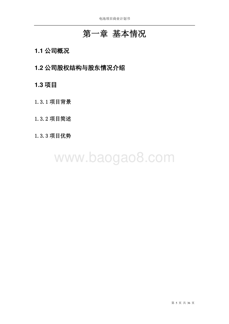 新能源商业计划书汽车新能源商业计划书.doc_第5页