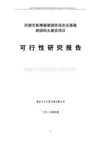 洪湖市新滩磁器湖休闲农业基地游园码头建设项目可行性研究报告.doc