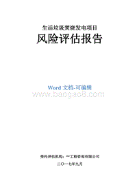 生活垃圾焚烧发电项目风险评估报告.doc