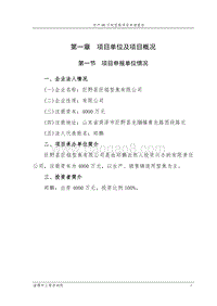 年产90万吨型焦项目可行性研究报告.doc