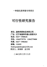 一种强化营养肠专利项目可行性研究报告.doc
