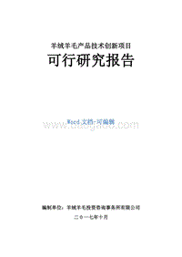 羊绒羊毛产品技术创新项目可行性研究报告.doc