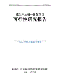 花生产加销一体化项目可行性研究报告.doc