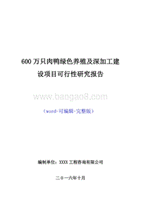 600万只肉鸭绿色养殖及深加工建设项目可行性研究报告.doc