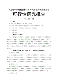 3万吨年产硫酸钡和1.5万吨年副产硫化碱项目可行性研究报告.doc
