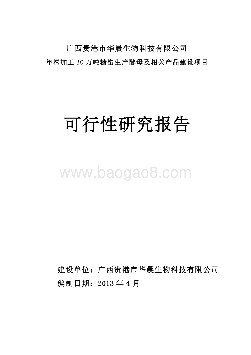 高活性酵母生态循环生产项目可行性研究报告.doc_第1页