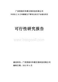 高活性酵母生态循环生产项目可行性研究报告.doc