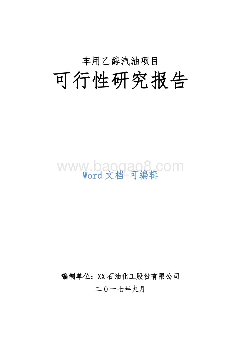 车用乙醇汽油项目可行性研究报告.doc_第1页