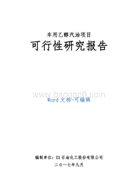 车用乙醇汽油项目可行性研究报告.doc