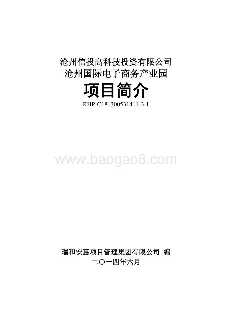 XX国际电子商务产业园项目可行性研究报告.doc_第1页
