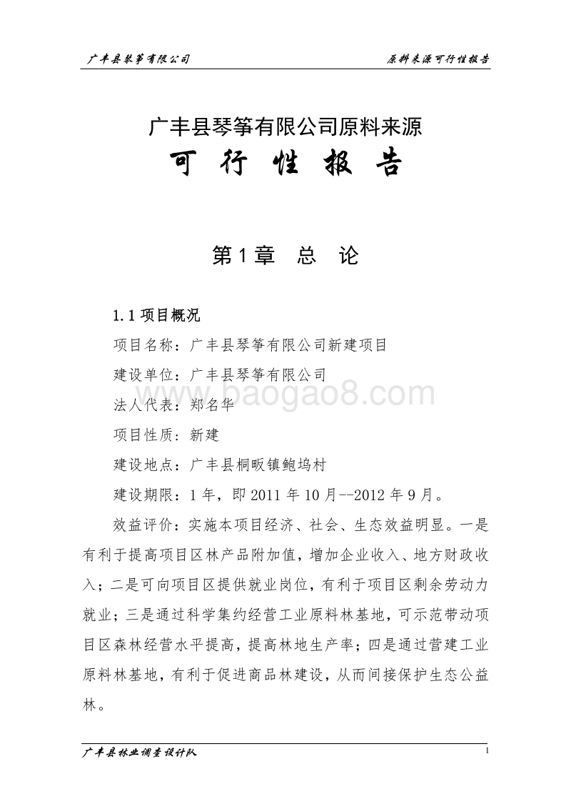 琴筝原材料建设项目可行性研究报告.doc_第1页