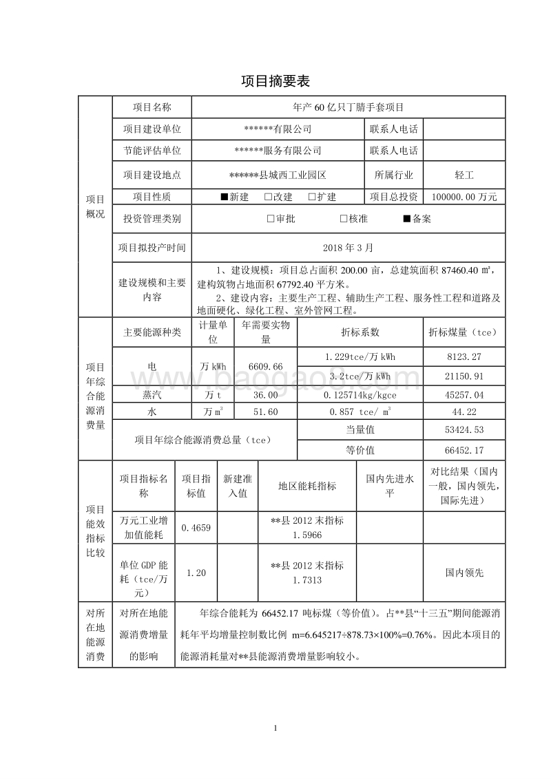 年产60亿只丁腈手套项目节能评估报告书.doc_第4页