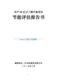 年产60亿只丁腈手套项目节能评估报告书.doc