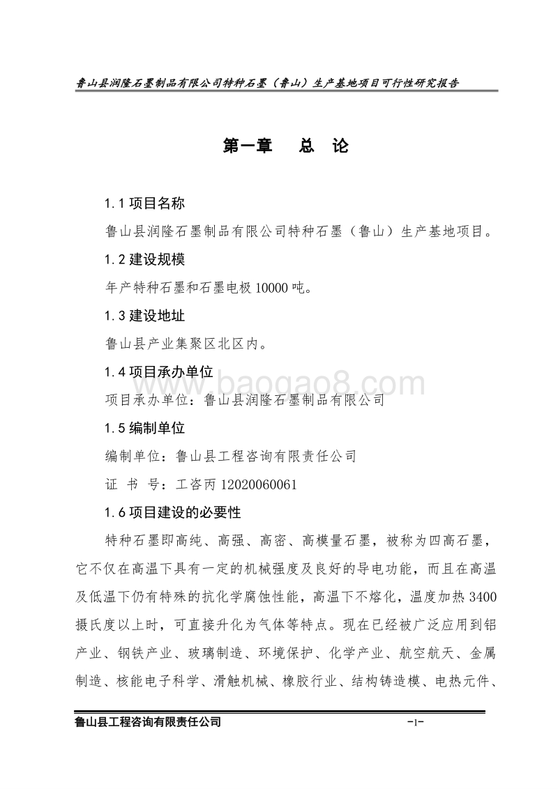 石墨项目可行性研究报告.doc_第1页