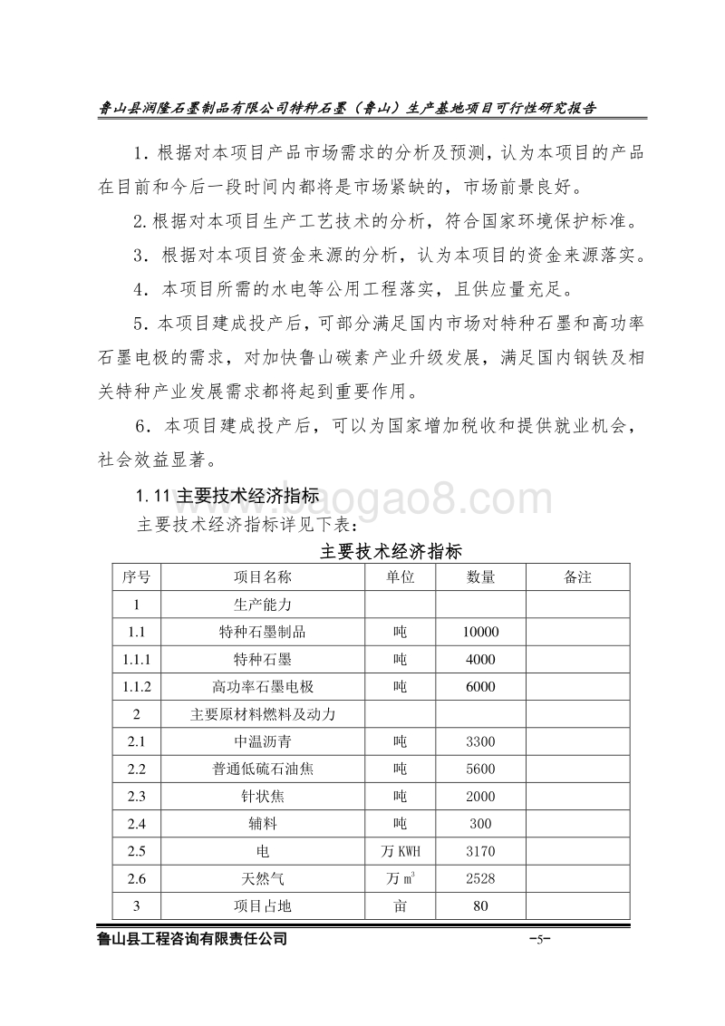石墨项目可行性研究报告.doc_第5页