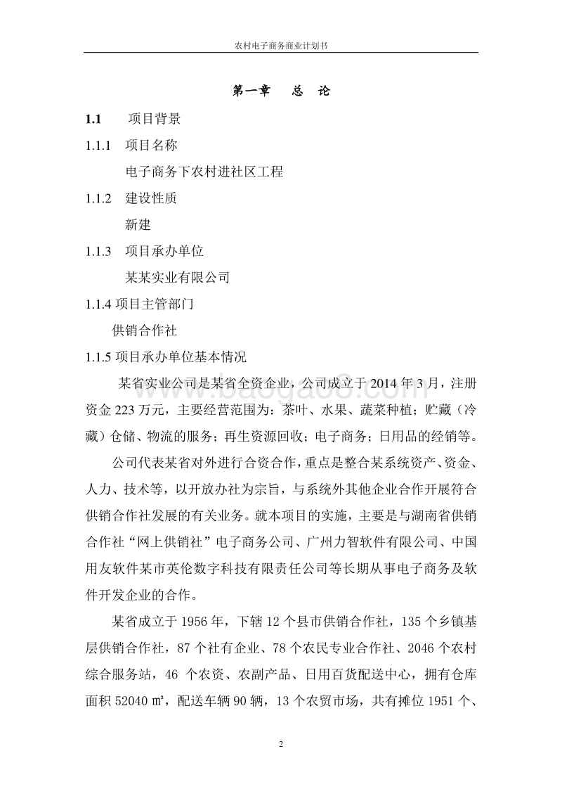 农村电子商务商业计划书.doc_第2页