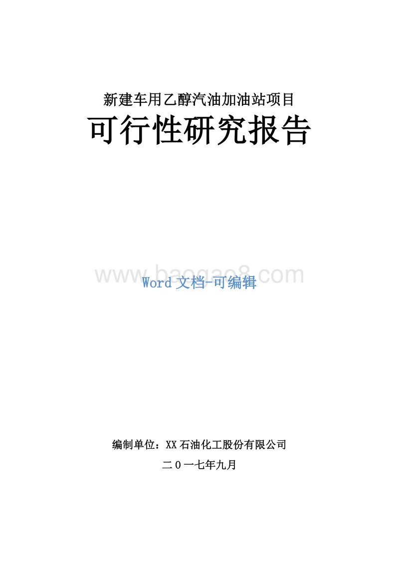 新建车用乙醇汽油加油站项目可行性研究报告.doc_第1页